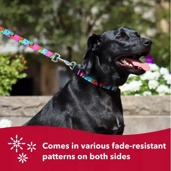 Coastal Pet Styles Adjustable Dog Collar Red Bones Photo 5
