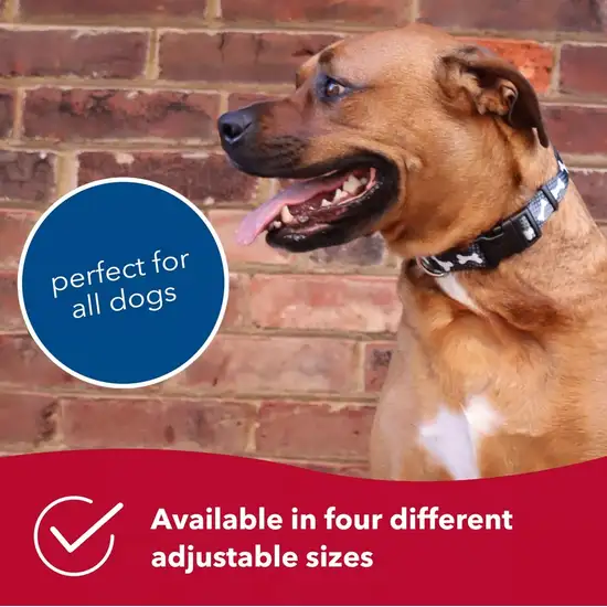 Coastal Pet Styles Adjustable Dog Collar Red Bones Photo 6
