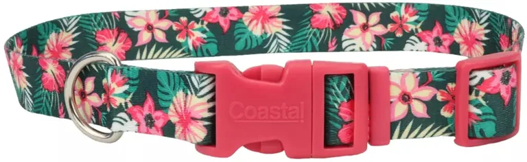 Coastal Pet Styles Adjustable Dog Collar Tropical Flower Photo 1