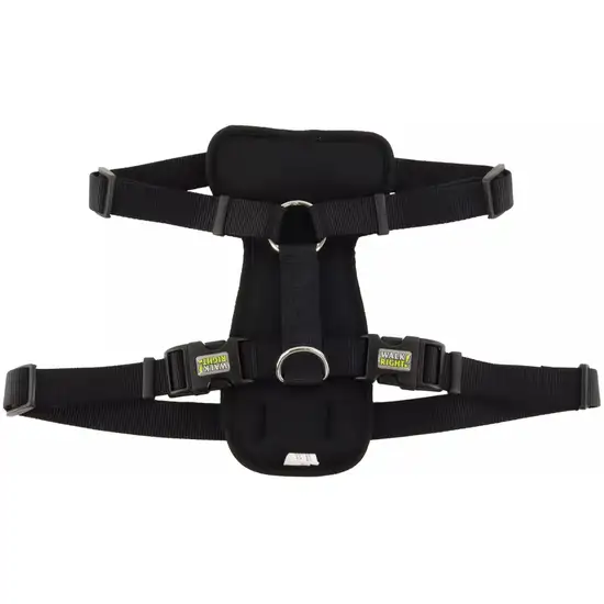 Coastal Pet Walk Right Padded Dog Harness Black Photo 2