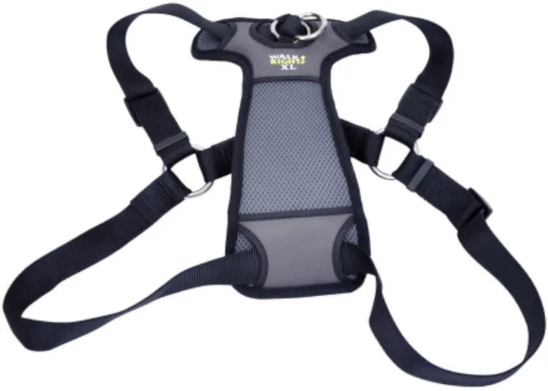 Coastal Pet Walk Right Padded Dog Harness Black Photo 1