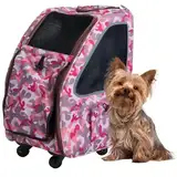 Dog Carriers Photo