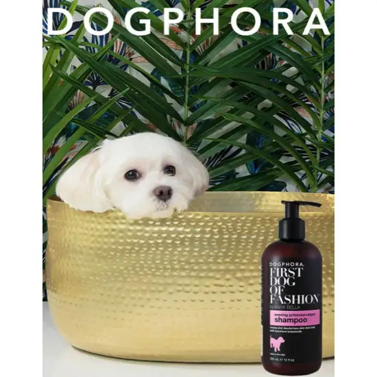 Dogphora First Dog of Fashion Shampoo Photo 3