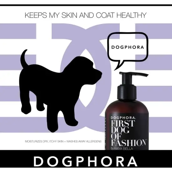 Dogphora First Dog of Fashion Shampoo Photo 6