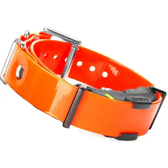 Dogtra ARC Remote Trainer Extra Collar Photo 1