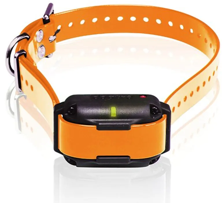 Dogtra Edge RT Trainer Extra Collar - Orange Photo 1