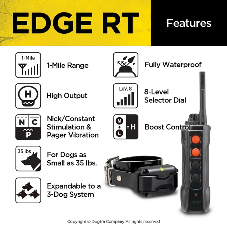 Dogtra Edge RT Trainer Photo 5