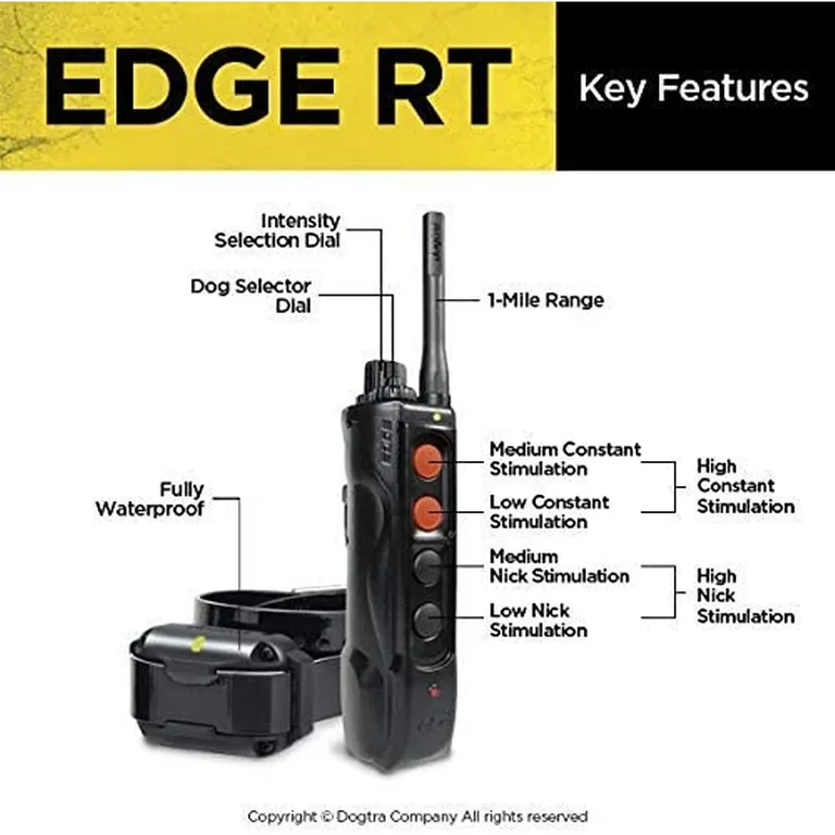 Dogtra Edge RT Trainer Photo 4