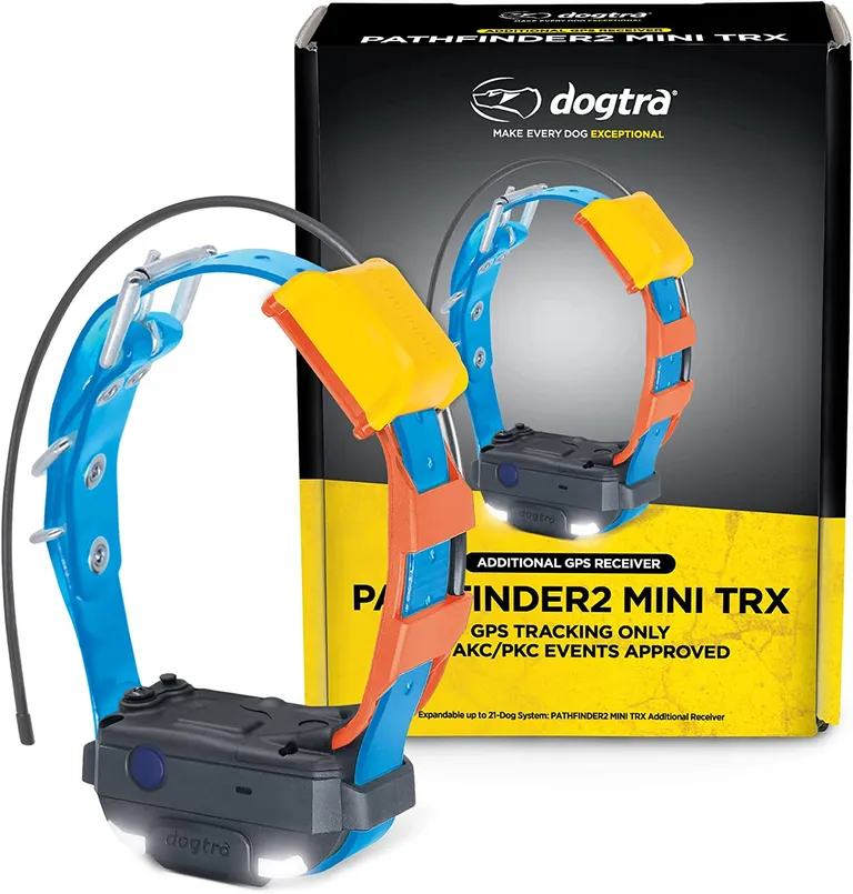 Dogtra PATHFINDER2 MINI Additional GPS Dog Tracking Collar - Blue Photo 4