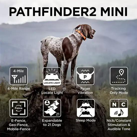 Dogtra PATHFINDER2 MINI Additional GPS Dog Tracking and Dog Training Collar - Green Photo 3