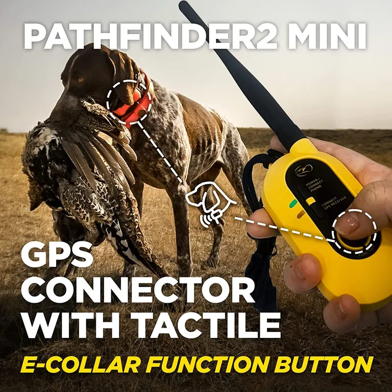 Dogtra PATHFINDER2 MINI Additional GPS Dog Tracking and Dog Training Collar - Green Photo 2