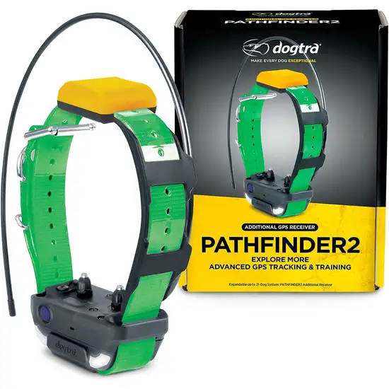 Dogtra Pathfinder 2  GPS Dog Tracker & Training Collar - Green Photo 1