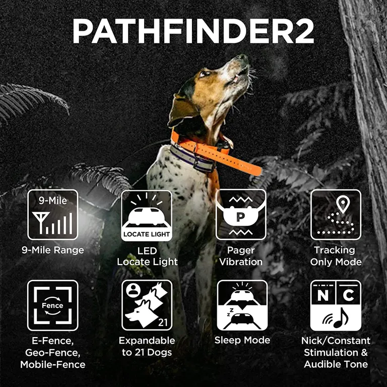 Dogtra Pathfinder 2  GPS Dog Tracker & Training Collar - Green Photo 4