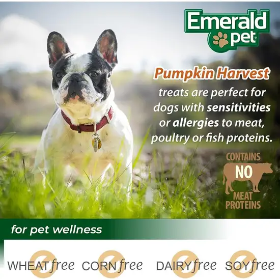 Emerald Pet Pumpkin Harvest Mini Trainers with Mixed Berries Chewy Dog Treats Photo 4