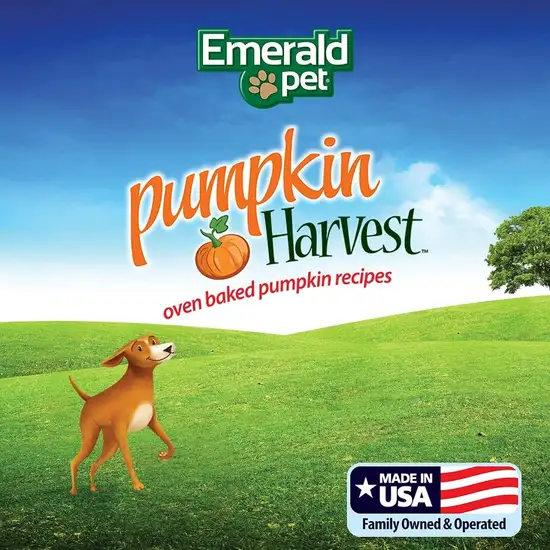 Emerald Pet Pumpkin Harvest Mini Trainers with Mixed Berries Chewy Dog Treats Photo 3