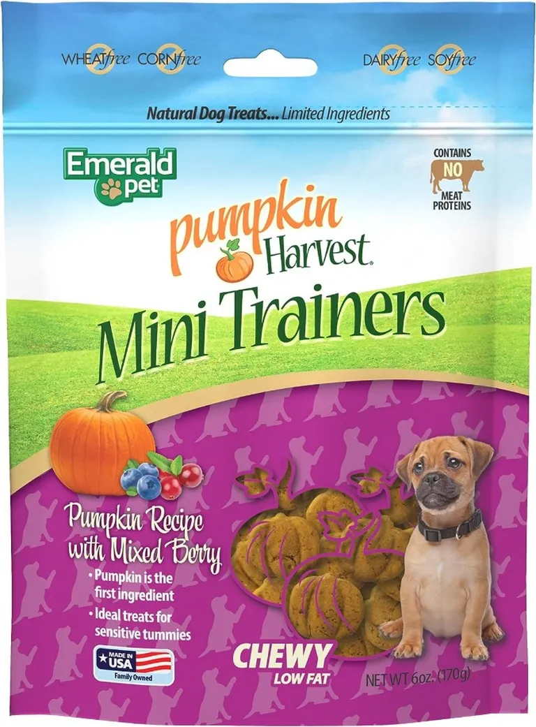 Emerald Pet Pumpkin Harvest Mini Trainers with Mixed Berries Chewy Dog Treats Photo 1