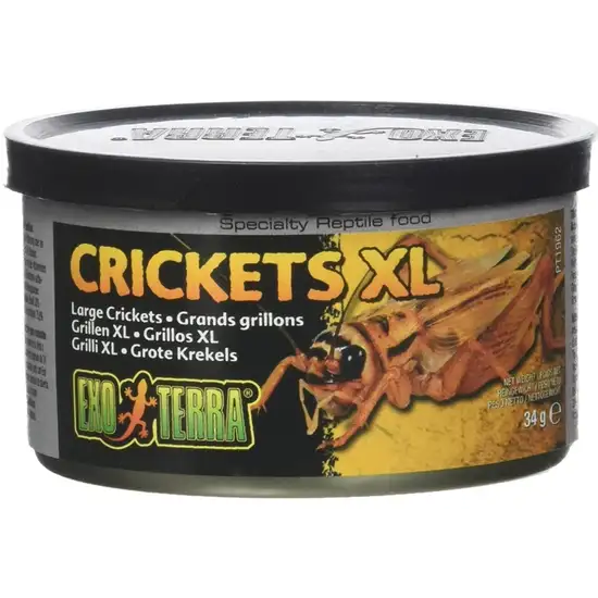 Exo Terra Canned Crickets XL Specialty Reptile Food Photo 1