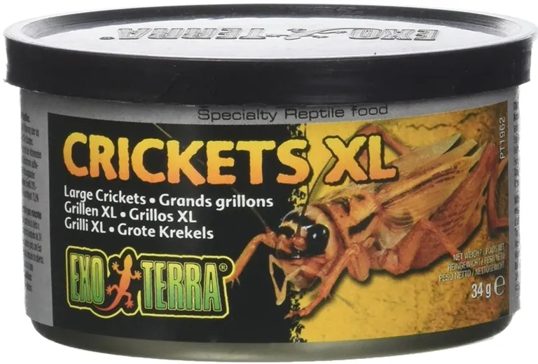 Exo Terra Canned Crickets XL Specialty Reptile Food Photo 2