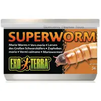 Photo of Exo Terra Canned Superworms Specialty Reptile Food