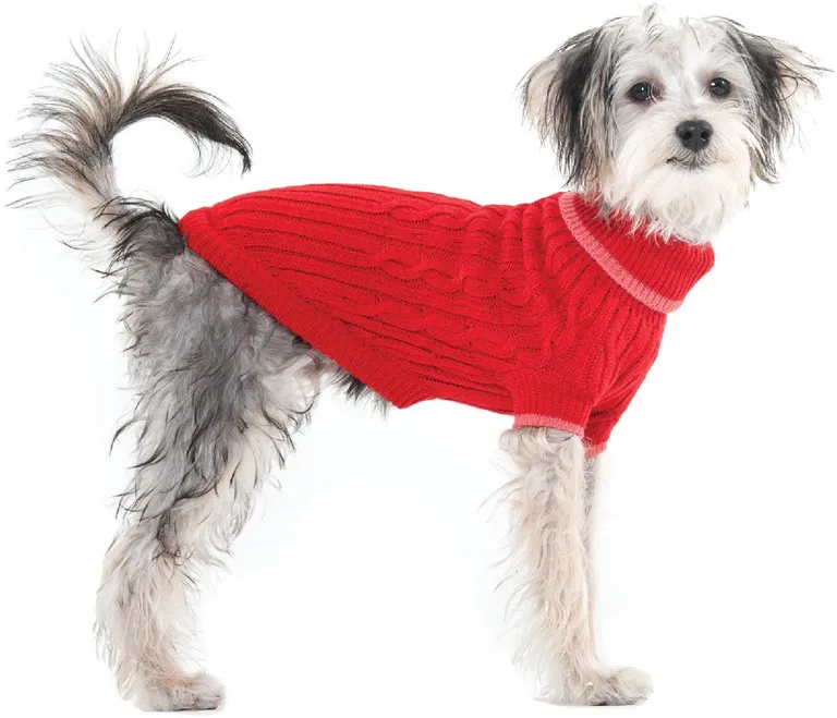 Fashion Pet Cable Knit Dog Sweater - Red Photo 3