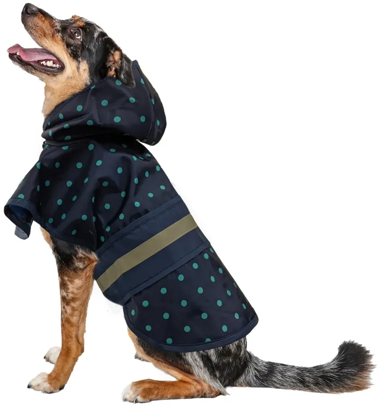 Fashion Pet Polka Dot Dog Raincoat Navy Photo 2