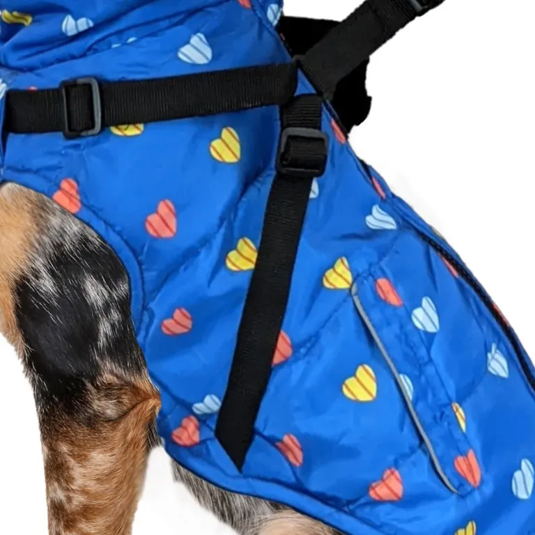 Fashion Pet Puffy Heart Harness Coat Blue Photo 1