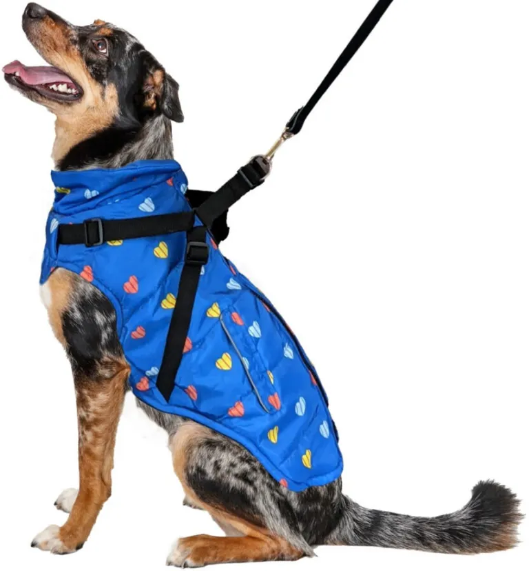 Fashion Pet Puffy Heart Harness Coat Blue Photo 2