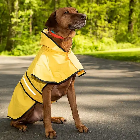 Fashion Pet Rainy Day Dog Slicker - Yellow Photo 9