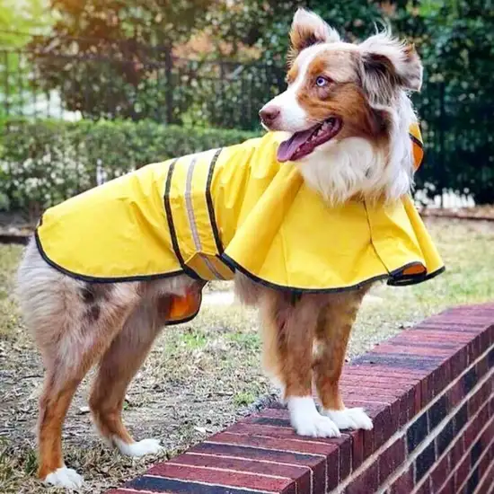 Fashion Pet Rainy Day Dog Slicker - Yellow Photo 8