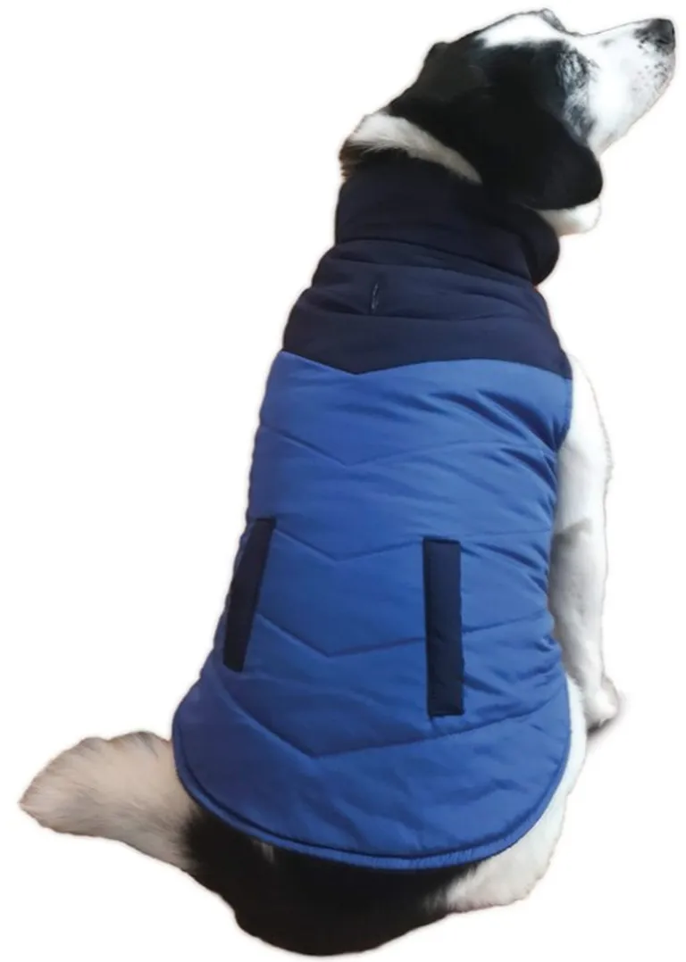 Fashion Pet Reversible Color Block Puffer Dog Jacket Blue Photo 1