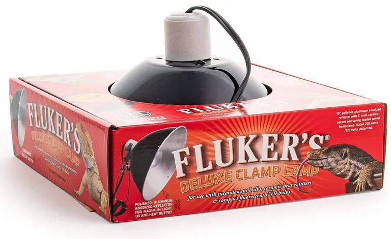 Flukers Clamp Lamp with Switch Photo 2