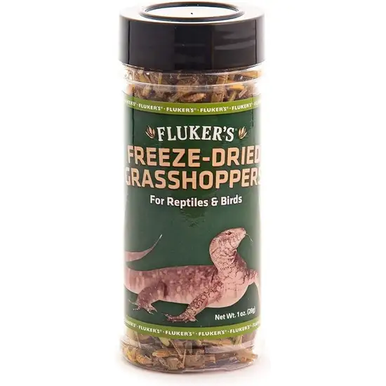 Flukers Freeze-Dried Grasshoppers Photo 2