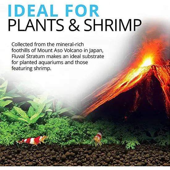 Fluval Plant and Shrimp Stratum Aquarium Substrate Photo 2