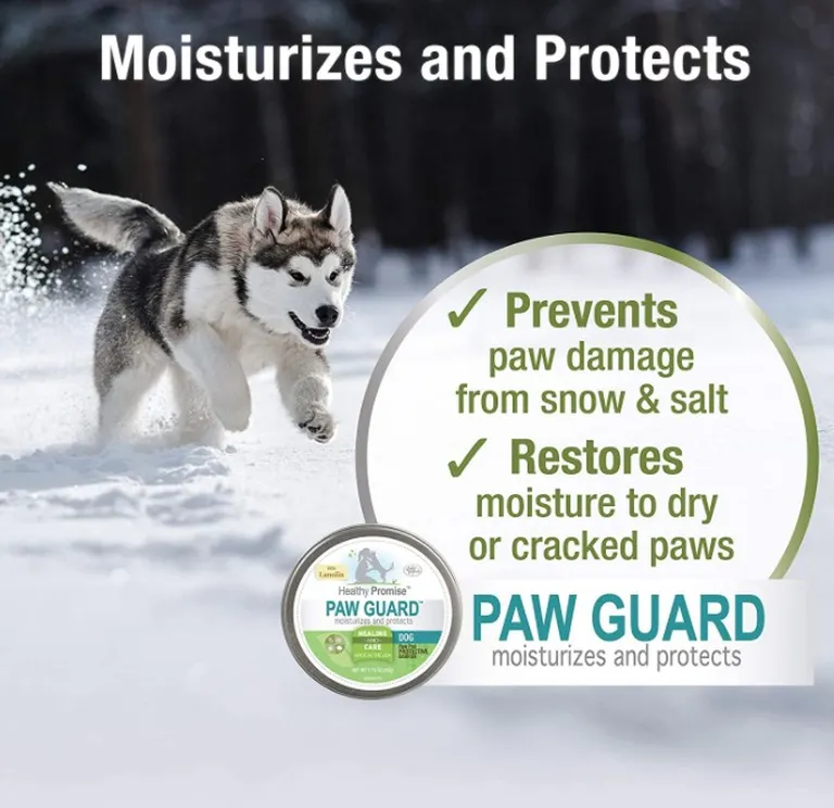 Four Paws Healthy Promise Paw Guard for Dogs Photo 4