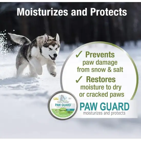 Four Paws Healthy Promise Paw Guard for Dogs Photo 5