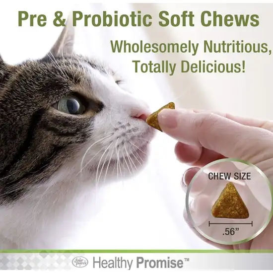 Four Paws Healthy Promise Pre and Probiotic Supplement for Cats Photo 5