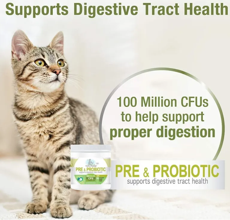 Four Paws Healthy Promise Pre and Probiotic Supplement for Cats Photo 5