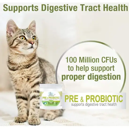 Four Paws Healthy Promise Pre and Probiotic Supplement for Cats Photo 6