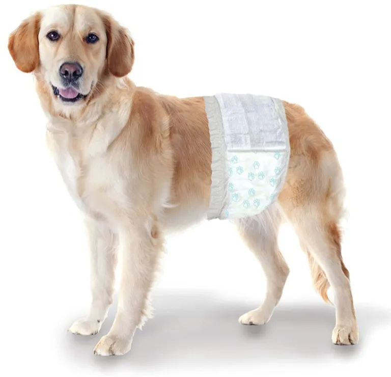 Four Paws Wee Wee Disposable Male Dog Wraps Medium/Large Photo 5