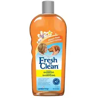 Photo of Fresh 'n Clean Scented Shampoo with Protein - Fresh Clean Scent