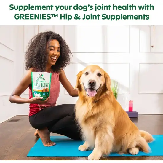 Greenies Hip and Joint Supplements for Dogs Photo 4