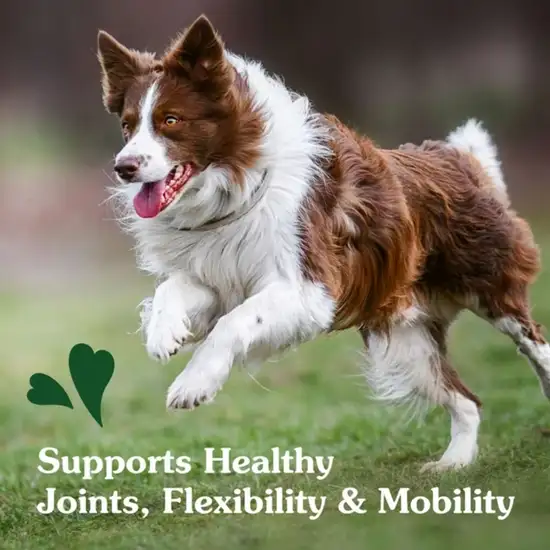 Greenies Hip and Joint Supplements for Dogs Photo 7