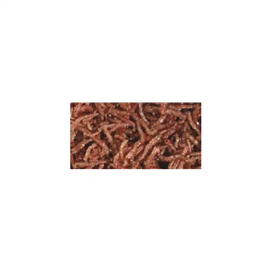 Hikari Bloodworms - Freeze Dried Photo 2