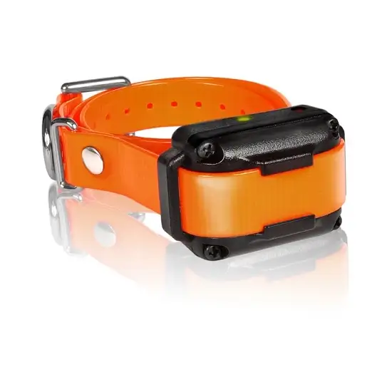 IQ Plus Additional Receiver Orange Strap Photo 1