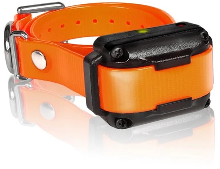 IQ Plus Additional Receiver Orange Strap Photo 1