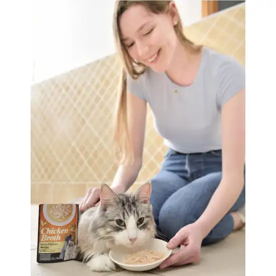 Inaba Chicken Broth with Chicken and Salmon Recipe Side Dish for Cats Photo 3