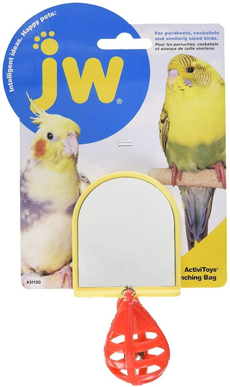 JW Insight Punching Bag Plastic Bird Toy Photo 1