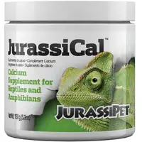 Photo of JurassiPet JurassiCal Reptile and Amphibian Dry Calcium Supplement