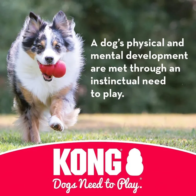 KONG Ball With Rope Dog Toy Small Photo 4