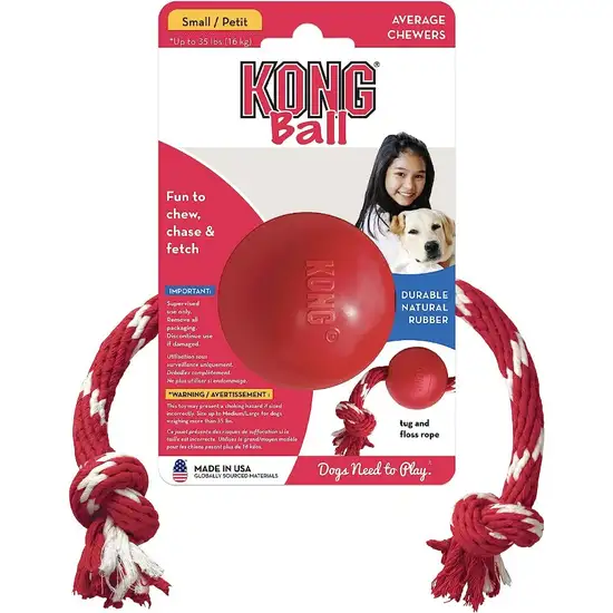 KONG Ball With Rope Dog Toy Small Photo 1